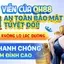 Biểu tượng khóa bảo mật và khiên chắn tượng trưng cho sự an toàn